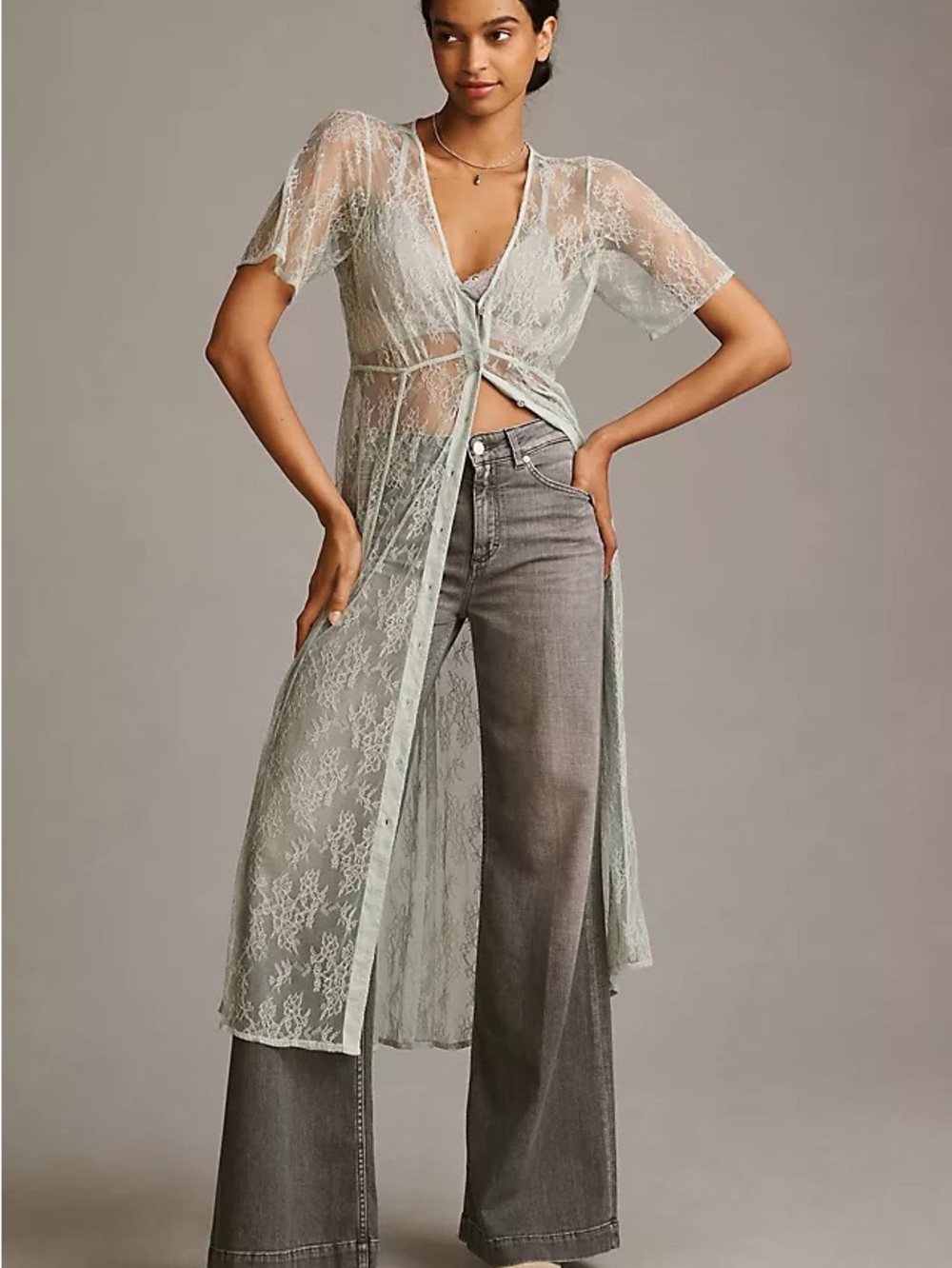 Anthropologie Sheer Lace Dress